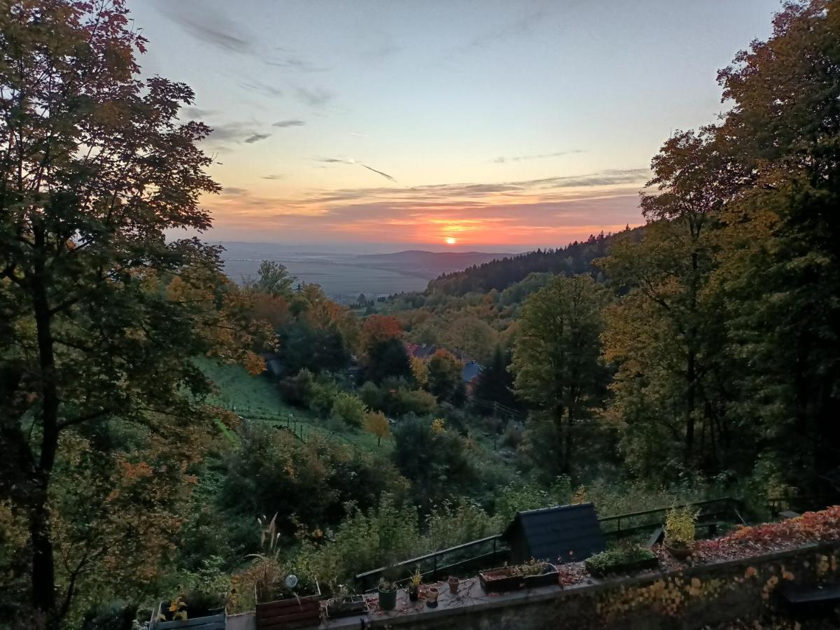 Villa Hubertus Srebrna Góra Exterior foto